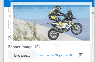 SharePoint-Properties-Panel-Why-we-built-our-own-screen05 Image URL - hover to view image